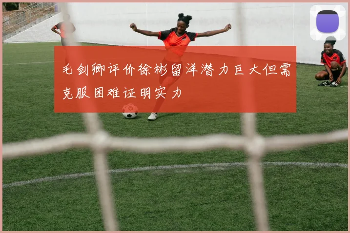 毛剑卿评价徐彬留洋潜力巨大但需克服困难证明实力