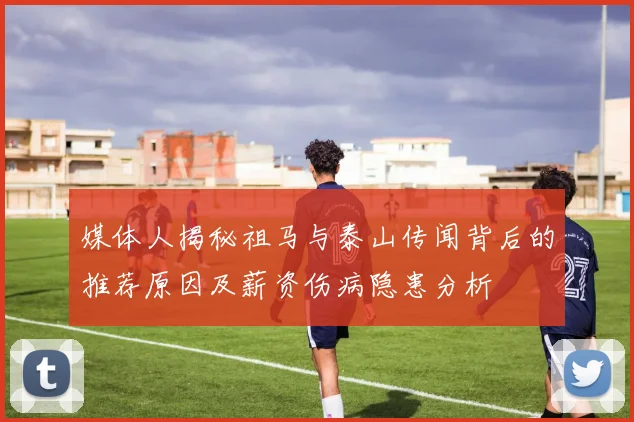 媒体人揭秘祖马与泰山传闻背后的推荐原因及薪资伤病隐患分析
