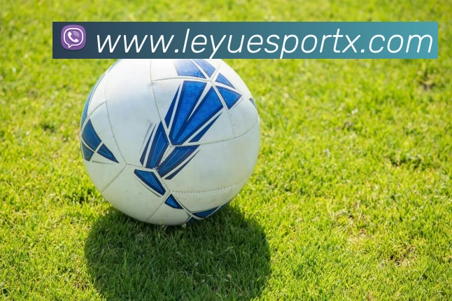 乐鱼电竞品牌故事