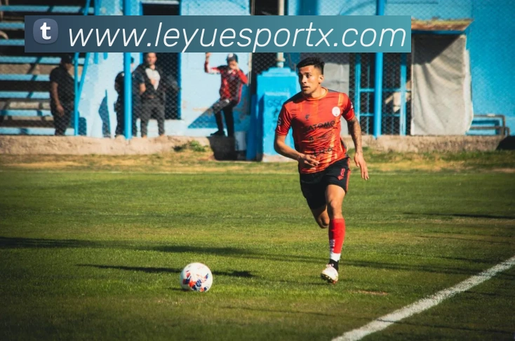 乐鱼电竞服务体系